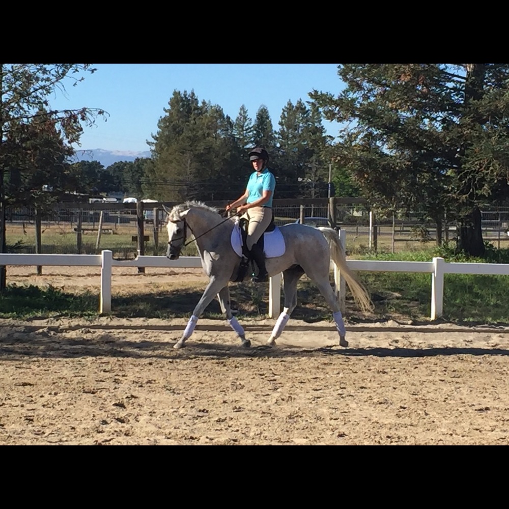 Meet your Posher, Katie